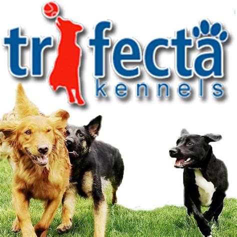 Trifecta Kennels Gilbert PA - qz-mm.facebook.com