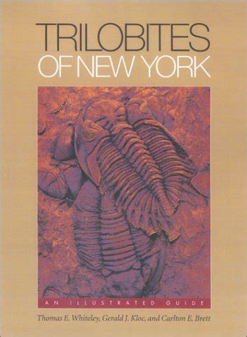 Trilobites of new york an illustrated guide comstock books. - Położenie klasy robotniczej w polsce, 1929-1939.