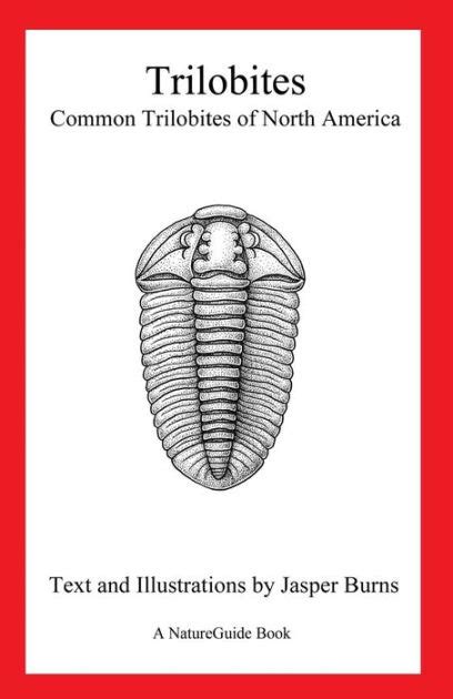 Read Trilobites Common Trilobites Of North America By Jasper Burns