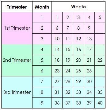 Trimester Calendar For Pregnancy