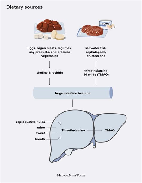 Trimethylaminuria causes.  The odor is described as smelling like rotting...