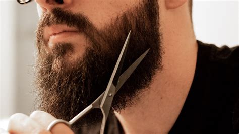 Trimming a beard. Wash your beard to remove any dirt or product buildup. Pat it dry gently to avoid frizz and ensure an even trim. Then use a comb to eliminate knots and ensure an even distribution of hair. This step prepares your beard for the trimming process, making it easier to manage. 2. 