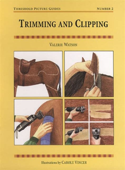 Trimming and clipping threshold picture guide. - Home workshop setup the complete guide home woodworker series.