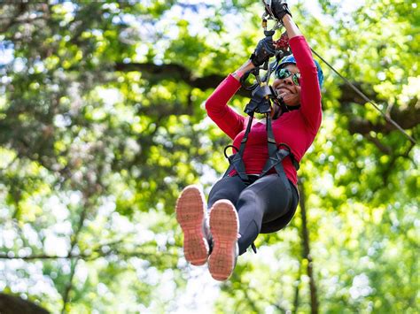Trinity forest adventure park. Things To Know About Trinity forest adventure park. 