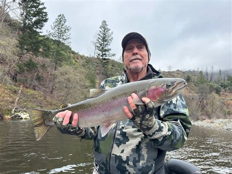 Trinity river fishing report yesterday.  Weekly Report Fish Reports North...