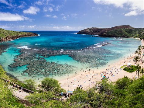 Top Places to Visit in Honolulu, Hawaii: See Tripadvisor's 9,56,66