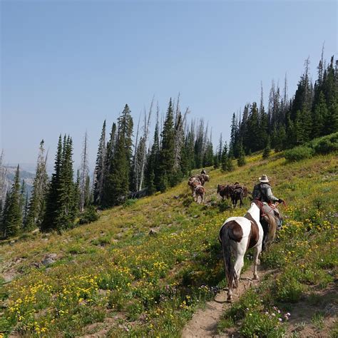 Tripadvisor wyoming forum. Answer 1 of 11: We are in Jackson Hole from the afternoon of Dec 17-21. We currently have the following booked: Saturday: Explore the town. Sunday :full day Elk Refuge sleigh ride and Grand Teton Wilderness Safari Monday: only was able to get one dog sled with... 