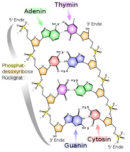 Triphosphorsäure – Wikipedia