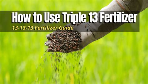 Triple 13 fertilizer. Triple 13 fertilizer is a balanced fertilizer, meaning all three macronutrients are present … 
