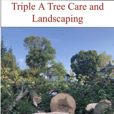 Triple A Tree Care – A Top Trusted NY Tree Company