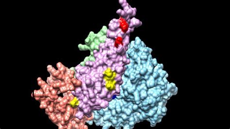 Triple Threat for Protein Complex Analysis Technology Networks