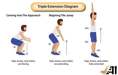 Triple flexion exercise.  Here's how to train to make it better.  Athlete Reb...