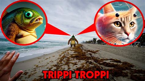 💋 Trippi Bri Leaks XxX