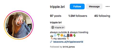 Trippiebrixo Leaks [PPV] 😈 41 Videos