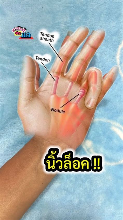 Trippypepper mods. 5K 140K views 5 years ago merch - https://trippypepper.  I read that whe...