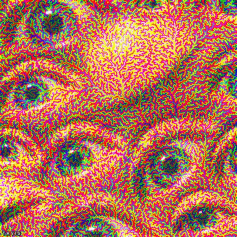 Trippyyykittyyy Onlyfans Leak 😈 XXX