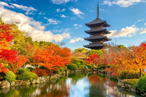 Trips to japan. What To Expect. Language: The national language of Japan is Japanese. English is widely spoken, especially in the tourism industry. Currency: The official currency is the Japanese Yen (JPY). Credit Cards & ATMs: In big cities like Tokyo and Osaka, you can pay for pretty much everything with your card. However, you’ll need cash … 