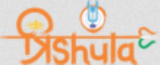 Trishula vadodara.  Manufacturer of Designer Spoon - Ice Cream Edible Spo...