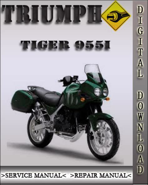 Triumph tiger 955i 2001 factory service repair manual. - Isa editions st dte als traum.