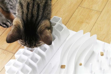 Trixie Pet Products 5-in-1 Cat Activity Center in White