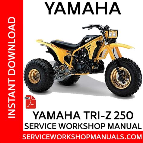 Triz 250 yamaha manual de servicio de reparación. - Doing research to improve teaching and learning a guide for college and university faculty.
