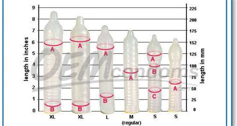 Trojan Condom Size Chart
