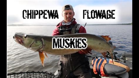 Trolling for Summer Muskies - Chippewa Flowage -Hayward