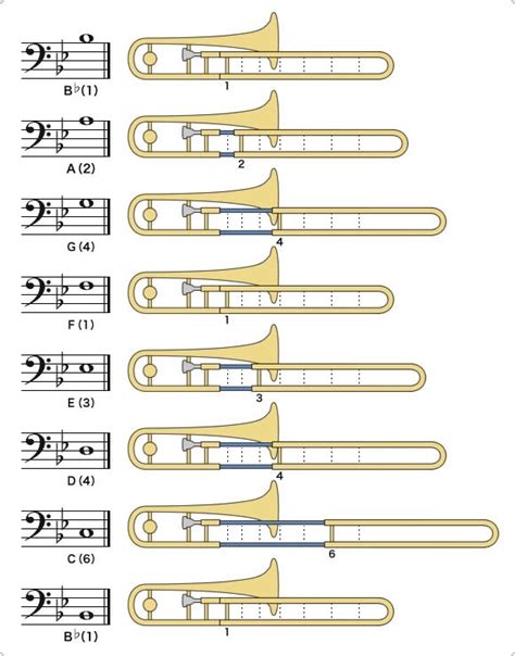 Trombone positions Diagram Quizlet