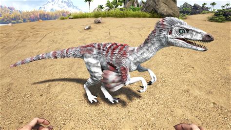 Troodon ark. Things To Know About Troodon ark. 