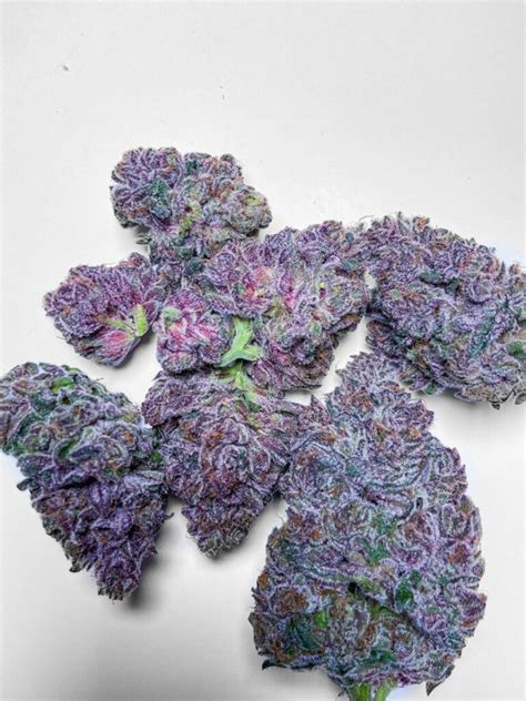 Trop cherry. Super Boof is a zingy hybrid weed strain made by crossing Black Cherry Punch and Tropicana Cookies. It has the same chunky, deep green buds as its parents that look wet with silver calyxes. The ... 