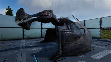 There are two ways to spawn a creature in Ark. Entity ID: You can use the Entity ID with the command admincheat Summon EntityID. Blueprint path: You can use the blueprint path with the command admincheat SpawnDino Blueprint path Spawn distance Spawn Y offset Z offset Dino level. This method lets you specify how far away you want the creature to .... 