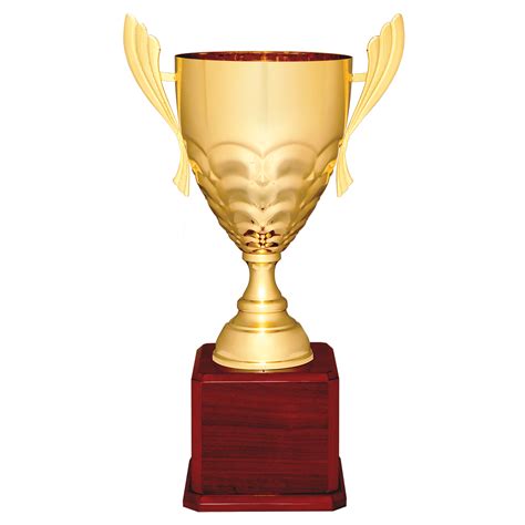 Trophie. Results. Price and other details may vary based on product size and colour. Best seller. Toyshine Trophy Cup for Sport Tournaments, Competitions (PC-33 L) 8.25inch, Golden … 
