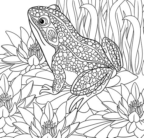 Tropical Paradise Coloring Pages