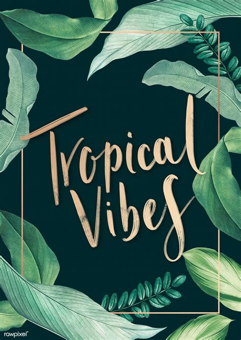 Tropical vibes. Tropical Vibes Restaurant & Bar is a cozy and lively place to enjoy delicious Caribbean cuisine and drinks. Check out their Facebook page to see the rave reviews from their satisfied customers and find out their latest offers and events. 