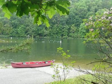 Trout Pond Recreation Area - US Forest Service