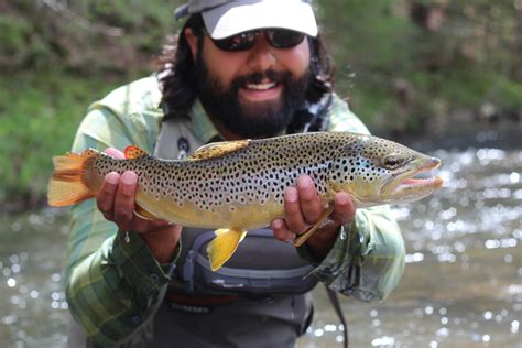 Trout Yeah, Fly Fishing Guide Service