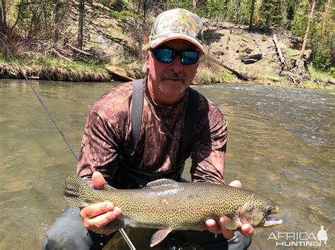 Trout fishing in the black hills a guide to the lakes streams of the black hill of south dakota wyoming. - Business continuity planning a step by step guide with planning forms 3rd edition.
