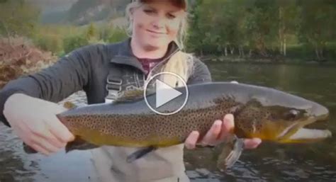 Girl With Trout Video, also known as the Lady With Trout Video, is an viral video and piece of shock media involving a woman on a fishing boat with a trout. .... 