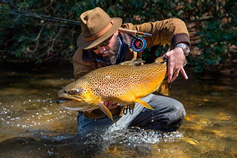 Trouts fly fishing. Things To Know About Trouts fly fishing. 