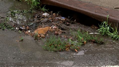 Troy calls on public to help clear debris from drains