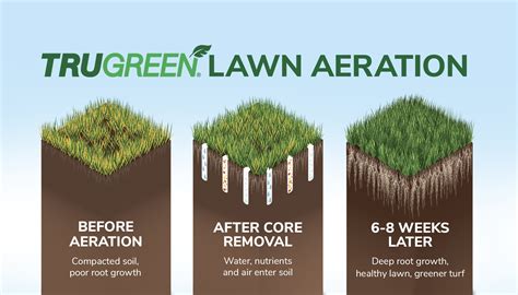 Tru green lawn. Things To Know About Tru green lawn. 