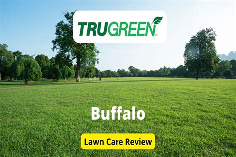 TruGreen Lawn Care in Buffalo Review - Lawnstarter