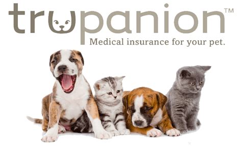 TruPanion Dog Insurance Review