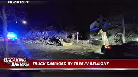 Truck crashes into tree in Belmont