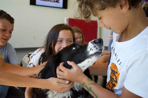Truckee humane society. TRUCKEE, Calif. - The Humane Society of Truckee-Tahoe (HSTT) has been in the business of saving lives for 30 years and now has entered the business of saving landfills, too. 