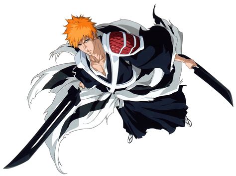 True Zanpakutou Ichigo & Bleach