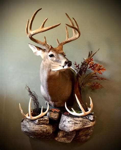 True-Life Taxidermy Your Trophy in True to Life