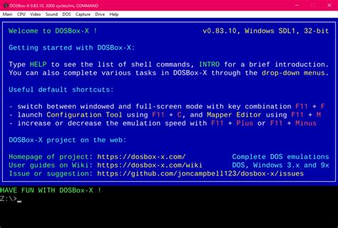 TrueType font output in DOSBoxX