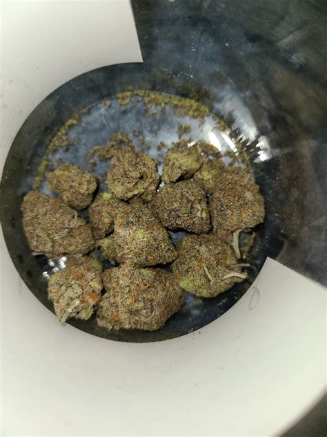 Why write a strain review? Help other patients find trustworthy strains and get a sense of how a particular strain might help them. A great way to share information, contribute to collective knowledge and giving back to the cannabis community. A great review should include flavor, aroma, effect, and helpful health ailments.. 