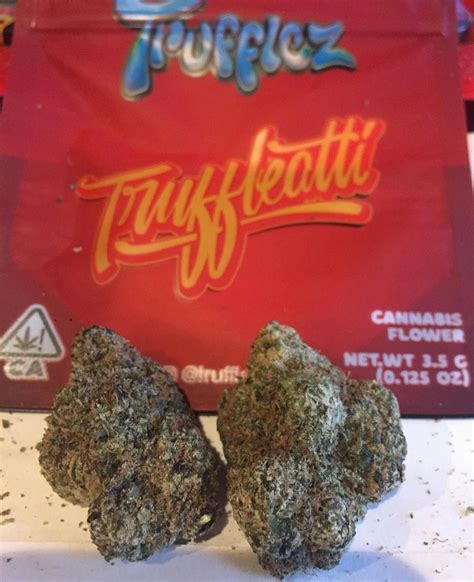 Garlotti is a hybrid weed strain made by crossing Chemdawg with Gelatti, for a zinger plant with frosty green and violet buds. The effects of Garlotti are believed to be arousing and happy..